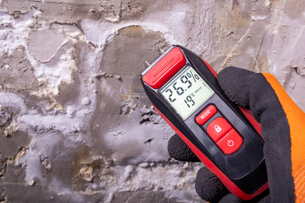 Best Kitchen Mold Remediation in Waurika, OK