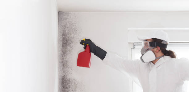 Best Bathroom Mold Remediation in Waurika, OK